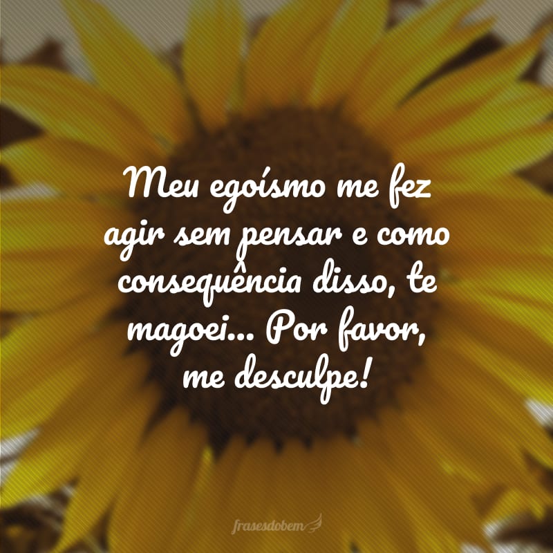 Meu egoísmo me fez agir sem pensar e como consequência disso, te magoei... Por favor, me desculpe! 