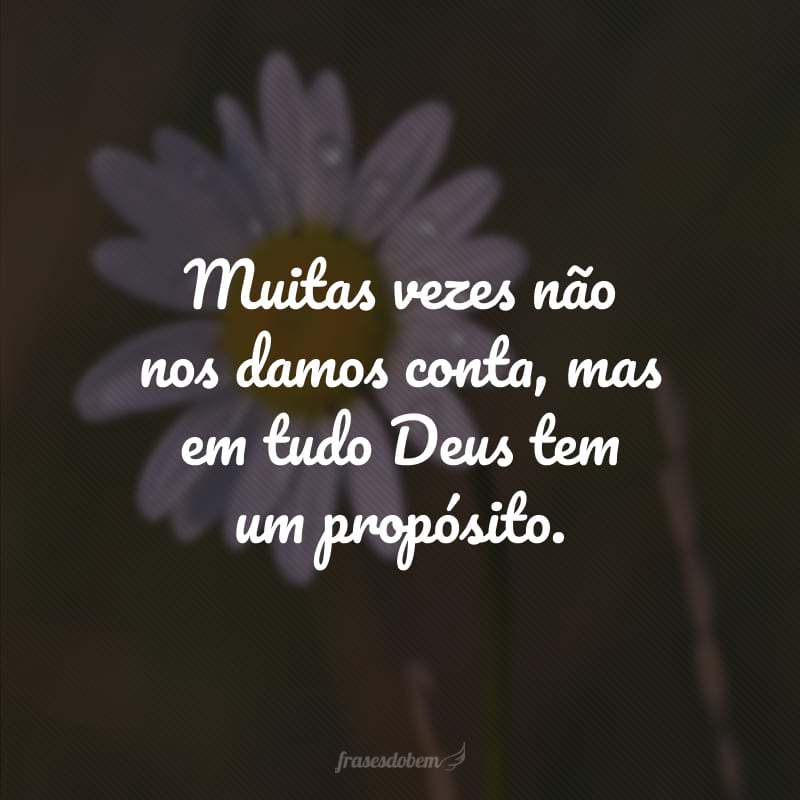 Muitas vezes não nos damos conta, mas em tudo Deus tem um propósito. 