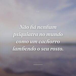 Não há nenhum psiquiatra no mundo como um cachorro lambendo o seu rosto.