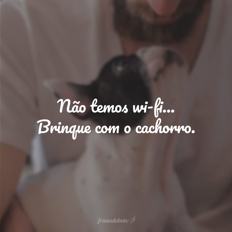 Não temos wi-fi... Brinque com o cachorro.