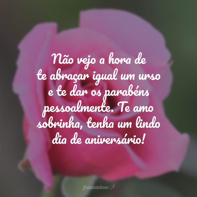 Não vejo a hora de te abraçar igual um urso e te dar os parabéns pessoalmente. Te amo sobrinha, tenha um lindo dia de aniversário!