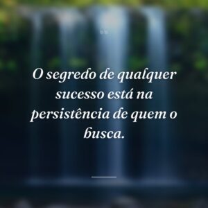 O segredo de qualquer sucesso está na persistência de quem o busca.