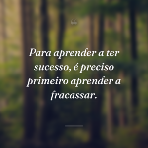 Para aprender a ter sucesso, é preciso primeiro aprender a fracassar.