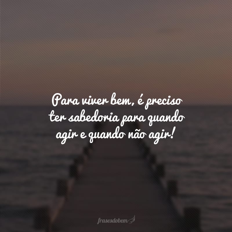 Para viver bem, é preciso ter sabedoria para quando agir e quando não agir!