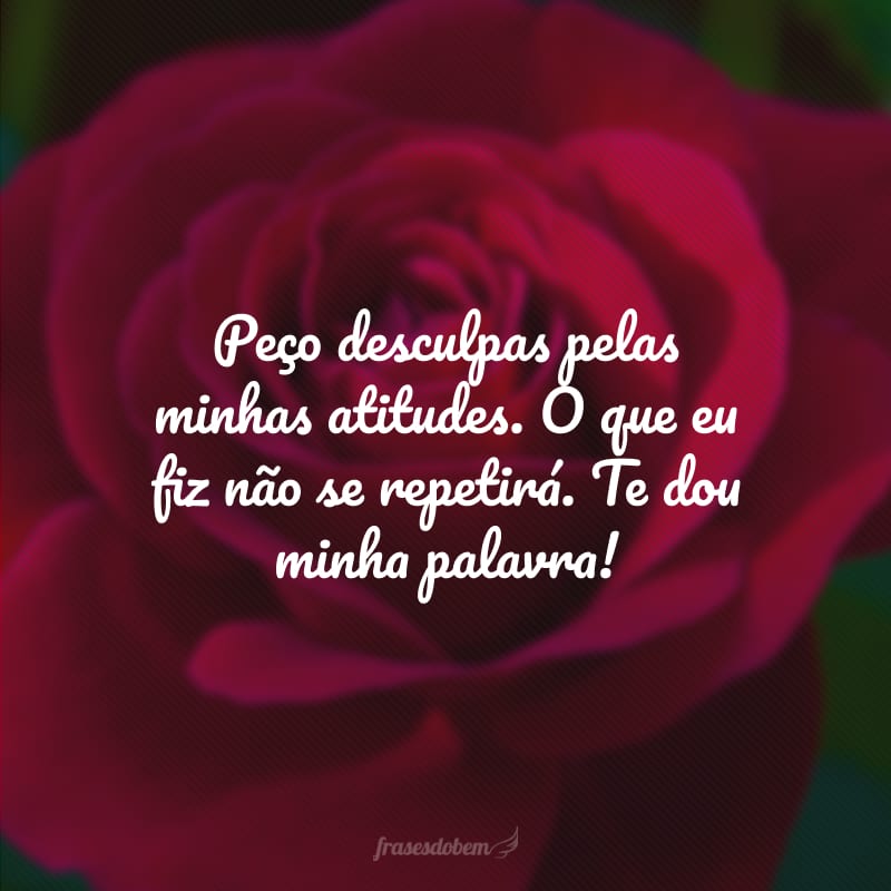 Peço desculpas pelas minhas atitudes. O que eu fiz não se repetirá. Te dou minha palavra! 