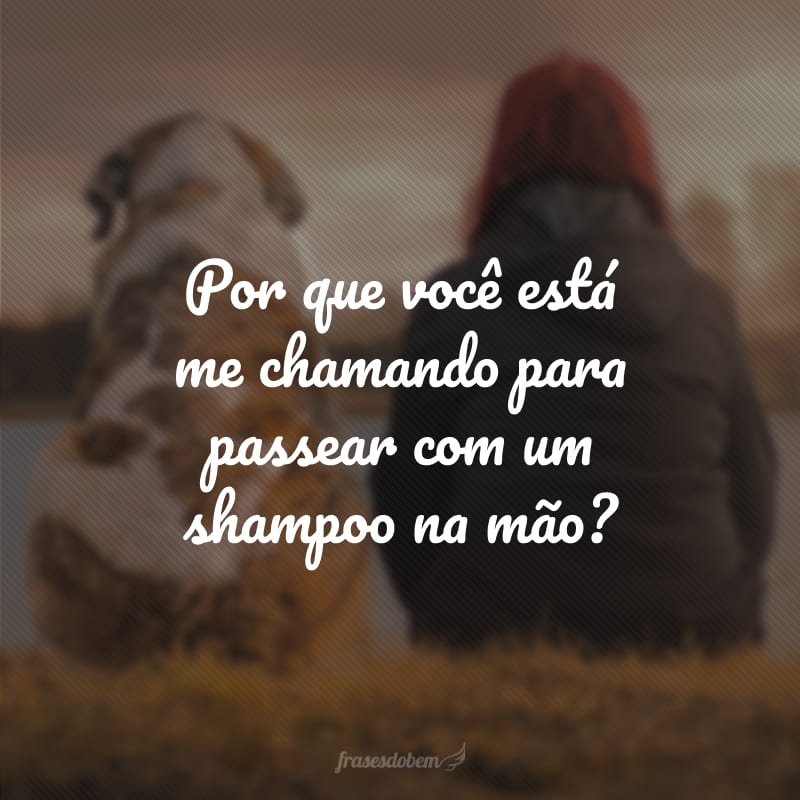 Por que você está me chamando para passear com um shampoo na mão?