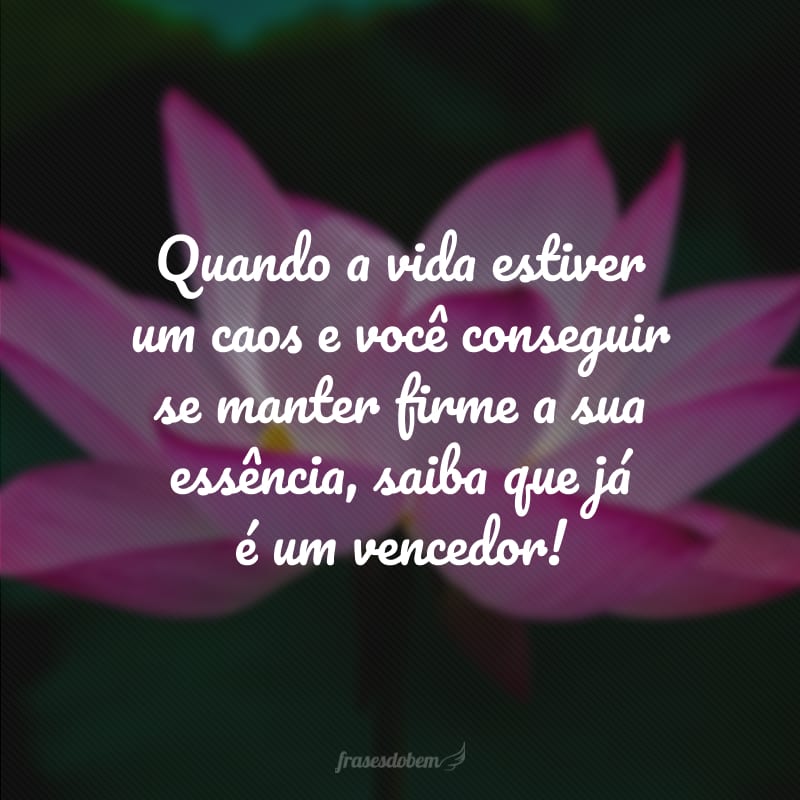 Quando a vida estiver um caos e você conseguir se manter firme a sua essência, saiba que já é um vencedor!