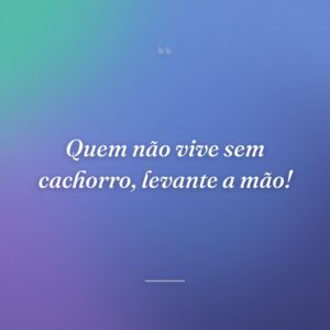Quem não vive sem cachorro, levante a mão!