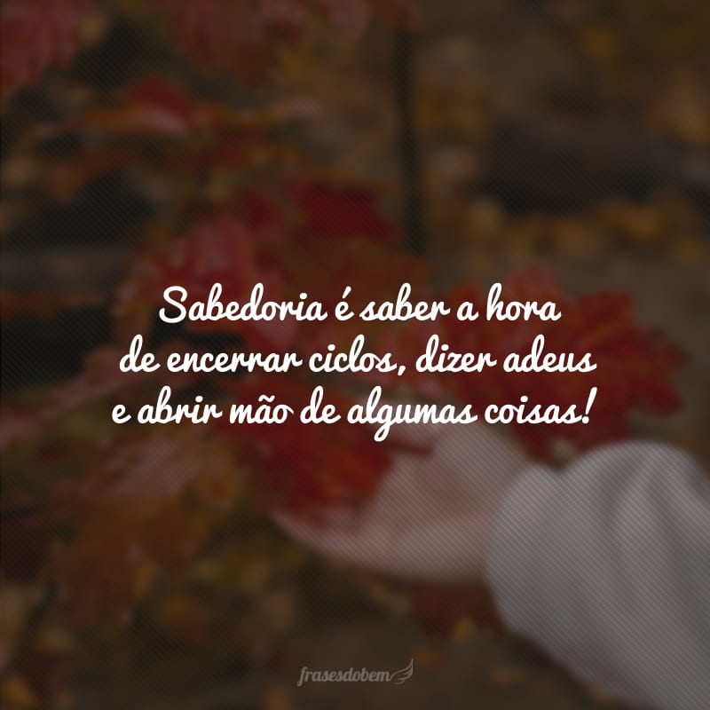 Sabedoria é saber a hora de encerrar ciclos, dizer adeus e abrir mão de algumas coisas!