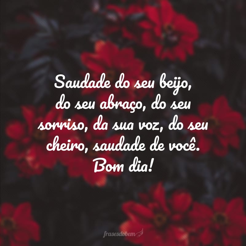 Saudade do seu beijo, do seu abraço, do seu sorriso, da sua voz, do seu cheiro, saudade de você. Bom dia!