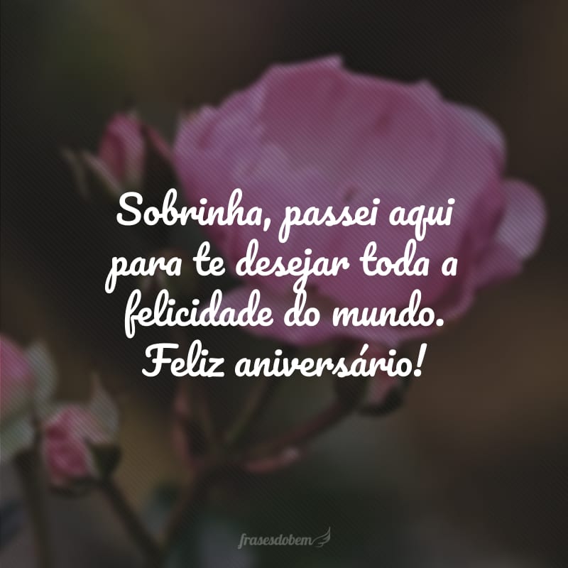 Sobrinha, passei aqui para te desejar toda a felicidade do mundo. Feliz aniversário!