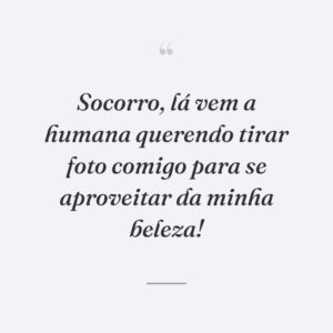 Socorro, lá vem a humana querendo tirar foto comigo para se aproveitar da minha beleza!