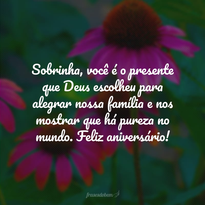 Sobrinha, você é o presente que Deus escolheu para alegrar nossa família e nos mostrar que há pureza no mundo. Feliz aniversário!