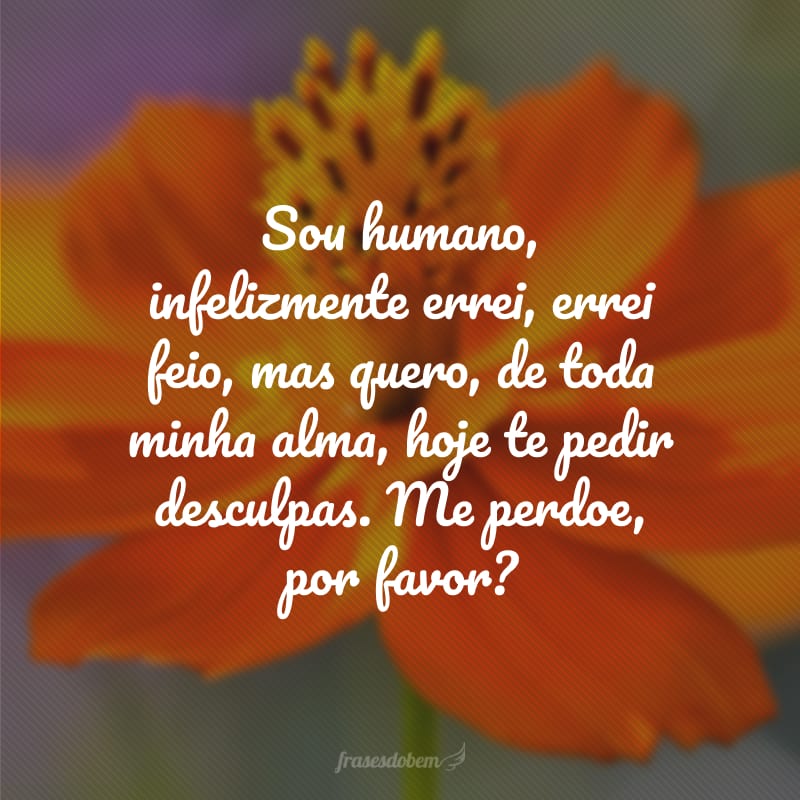 Sou humano, infelizmente errei, errei feio, mas quero, de toda minha alma, hoje te pedir desculpas. Me perdoe, por favor?