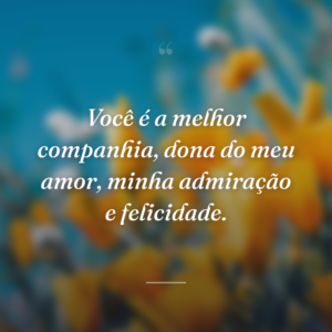 Você é a melhor companhia, dona do meu amor, minha admiração e felicidade.