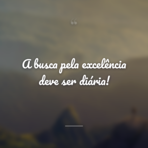 A busca pela excelência deve ser diária!