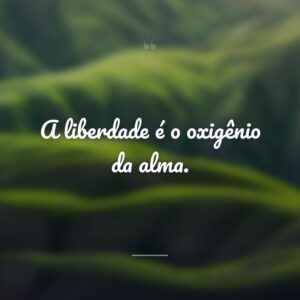 A liberdade é o oxigênio da alma.