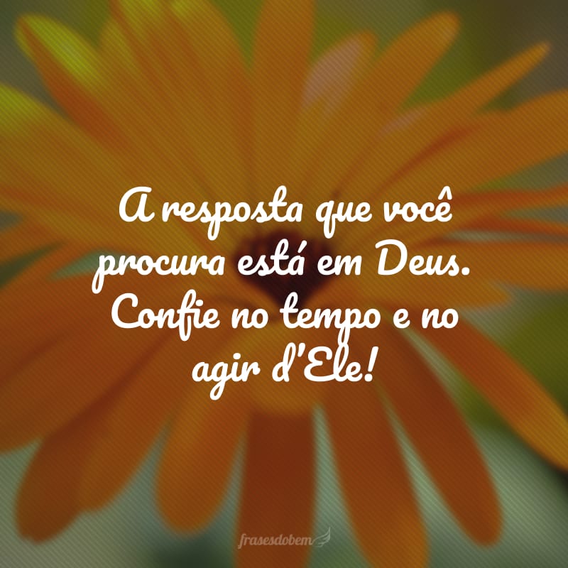 A resposta que você procura está em Deus. Confie no tempo e no agir d'Ele!