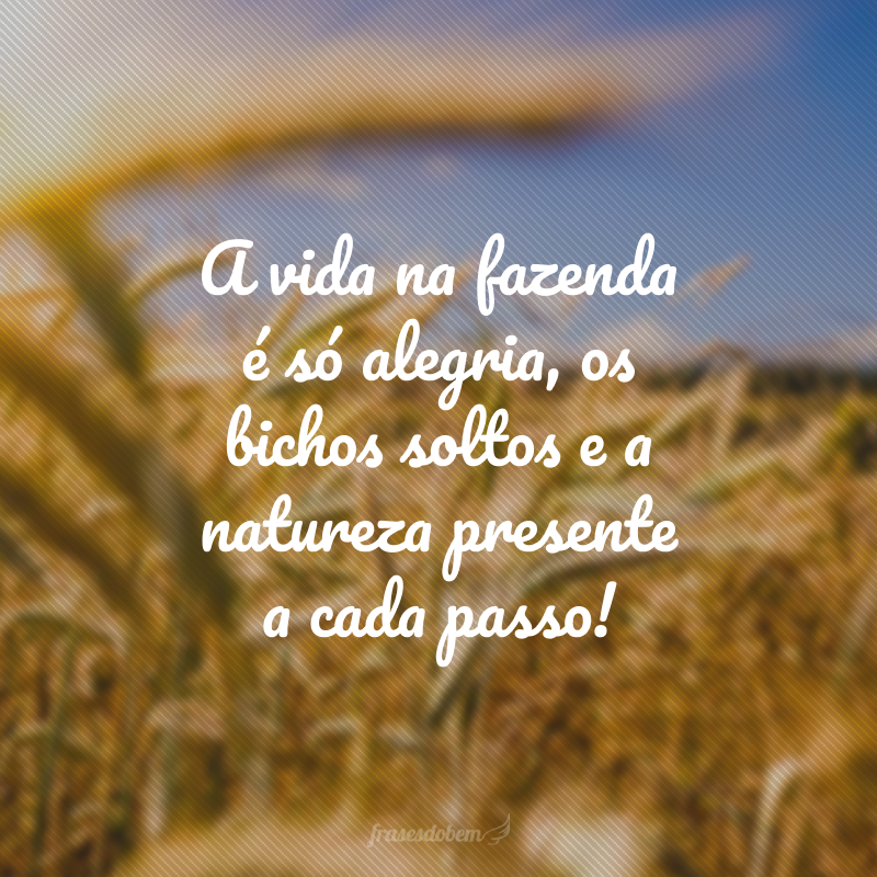 A vida na fazenda é só alegria, os bichos soltos e a natureza presente a cada passo!