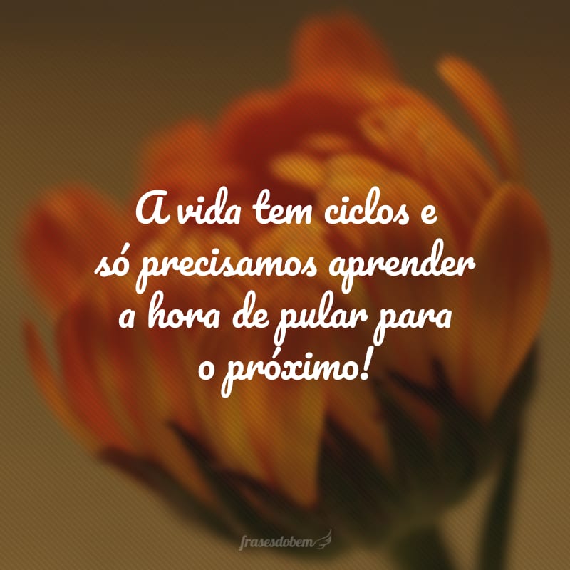 A vida tem ciclos e só precisamos aprender a hora de pular para o próximo!