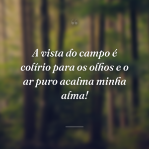A vista do campo é colírio para os olhos e o ar puro acalma minha alma!