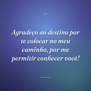 Agradeço ao destino por te colocar no meu caminho, por me permitir conhecer você!