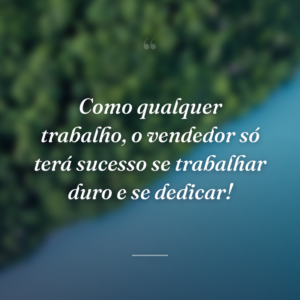 Como qualquer trabalho, o vendedor só terá sucesso se trabalhar duro e se dedicar!