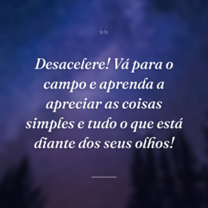 Desacelere! Vá para o campo e aprenda a apreciar as coisas simples e tudo o que está diante dos seus olhos!