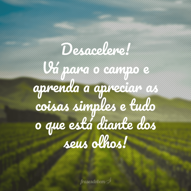 Desacelere! Vá para o campo e aprenda a apreciar as coisas simples e tudo o que está diante dos seus olhos!