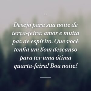 Desejo para sua noite de terça-feira: amor e muita paz de espírito. Que você tenha um bom descanso para ter uma ótima quarta-feira! Boa noite!