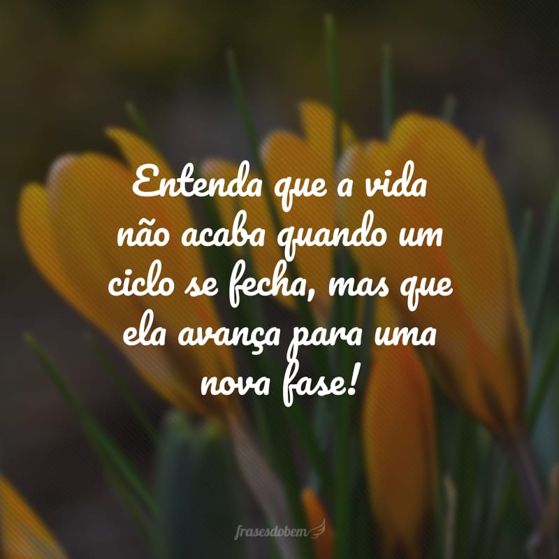 Entenda que a vida não acaba quando um ciclo se fecha, mas que ela avança para uma nova fase!