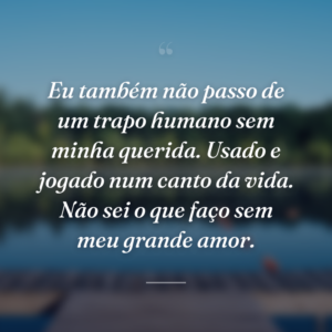 Eu também não passo de um trapo humano sem minha querida. Usado e jogado num canto da vida. Não sei o que faço sem meu grande amor.