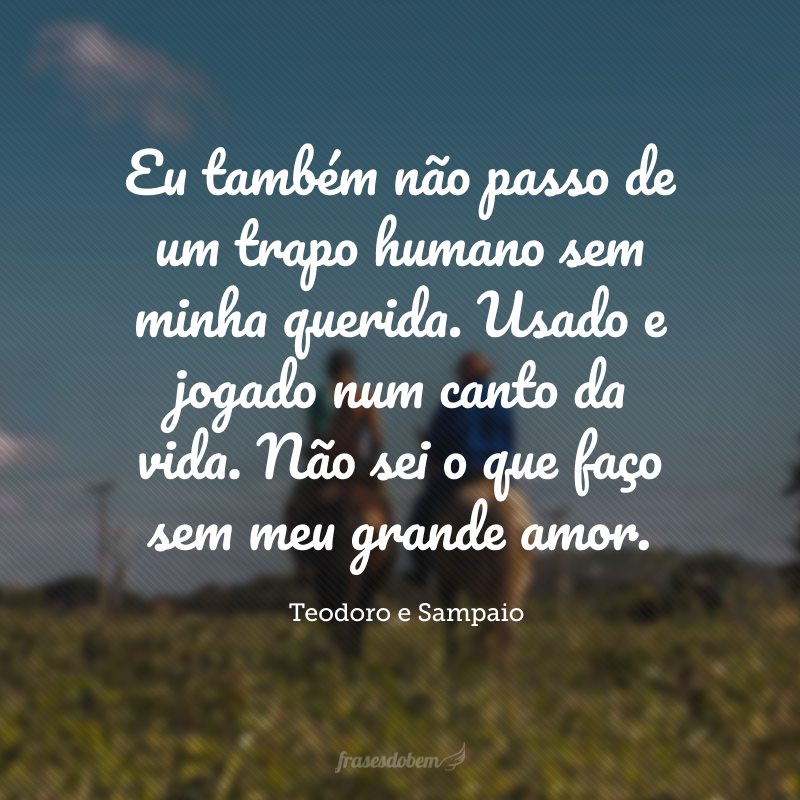 Eu também não passo de um trapo humano sem minha querida. Usado e jogado num canto da vida. Não sei o que faço sem meu grande amor.