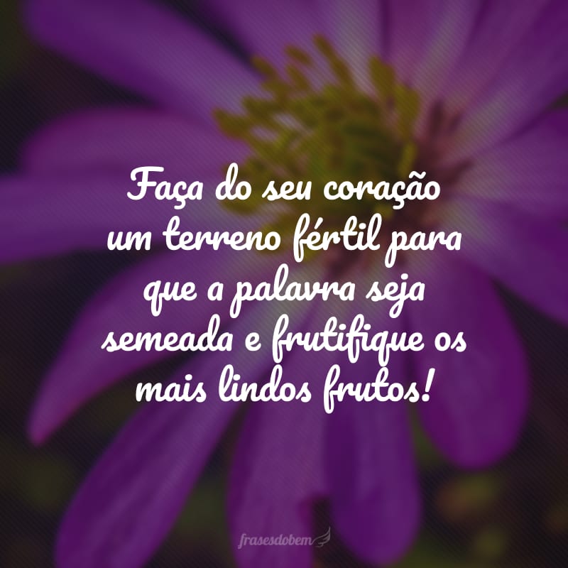 Faça do seu coração um terreno fértil para que a palavra seja semeada e frutifique os mais lindos frutos!