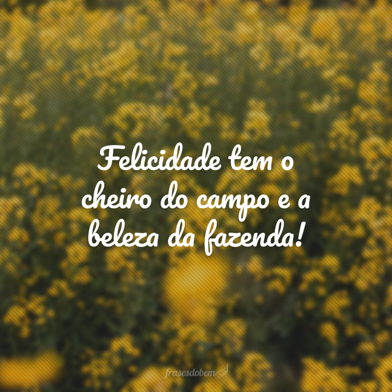 Felicidade tem o cheiro do campo e a beleza da fazenda!