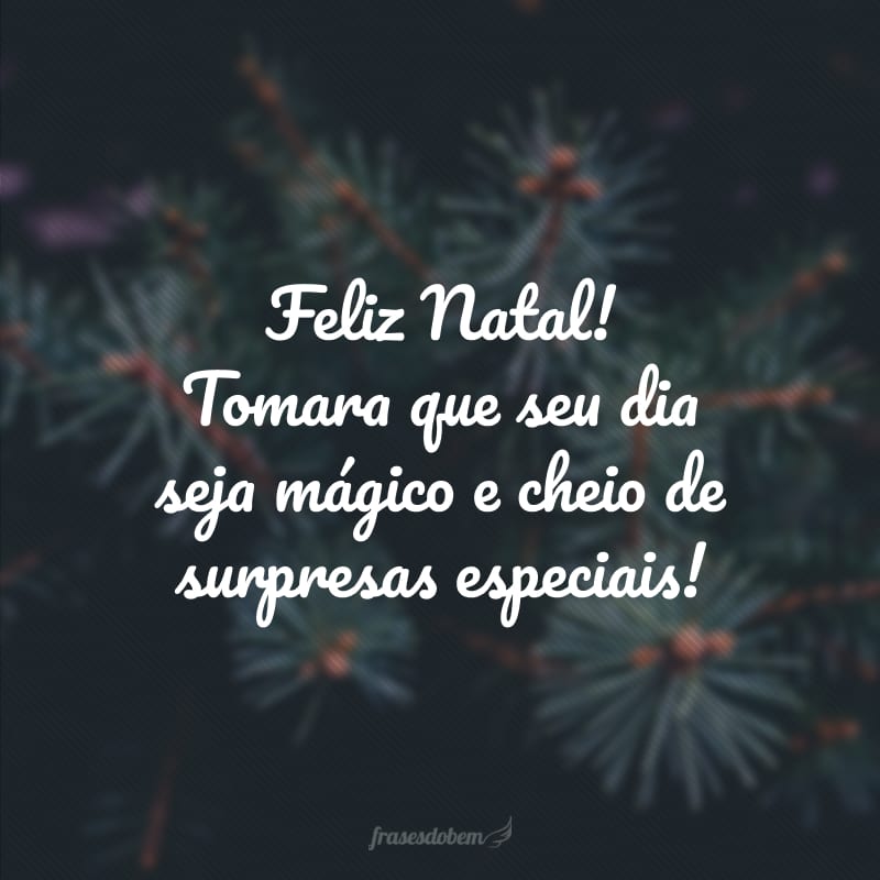 Feliz Natal! Tomara que seu dia seja mágico e cheio de surpresas especiais!