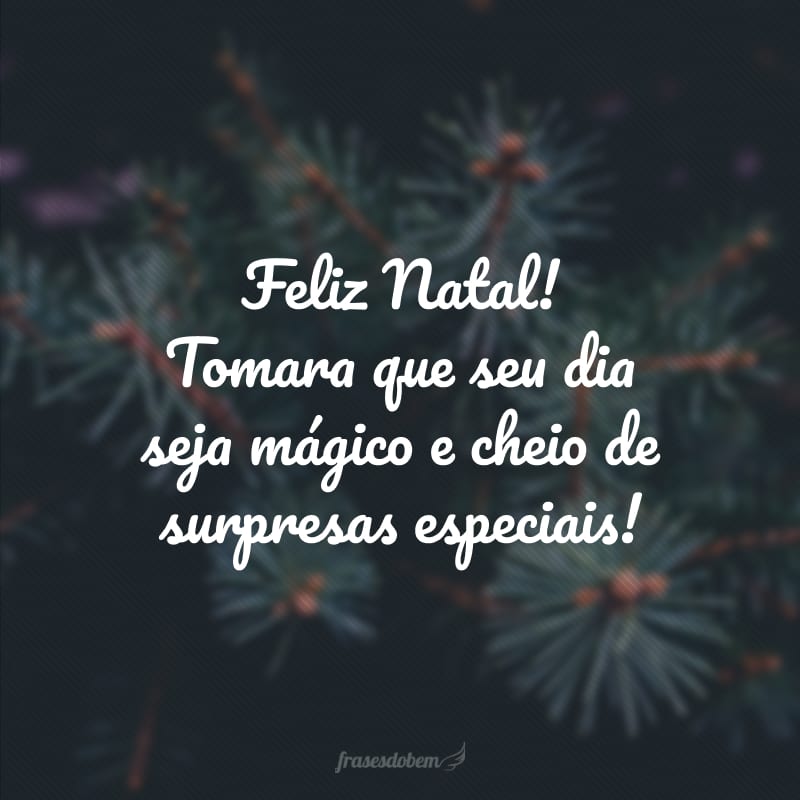 Feliz Natal! Tomara que seu dia seja mágico e cheio de surpresas especiais!