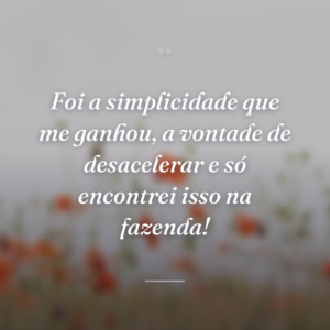 Foi a simplicidade que me ganhou, a vontade de desacelerar e só encontrei isso na fazenda!