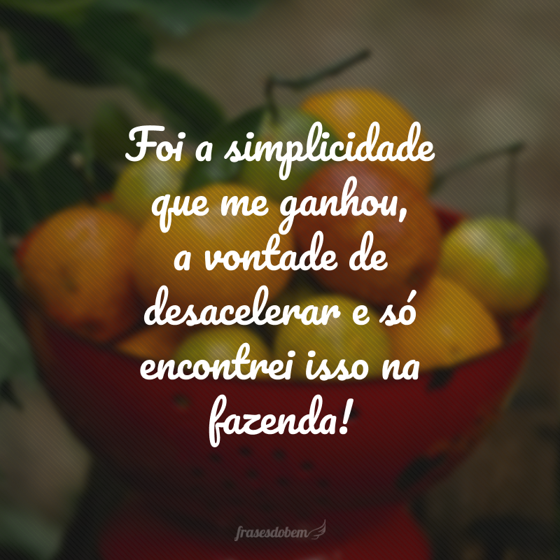 Foi a simplicidade que me ganhou, a vontade de desacelerar e só encontrei isso na fazenda!