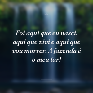 Foi aqui que eu nasci, aqui que vivi e aqui que vou morrer. A fazenda é o meu lar!