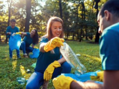 40 frases sobre reciclagem para te fazer refletir sobre sustentabilidade