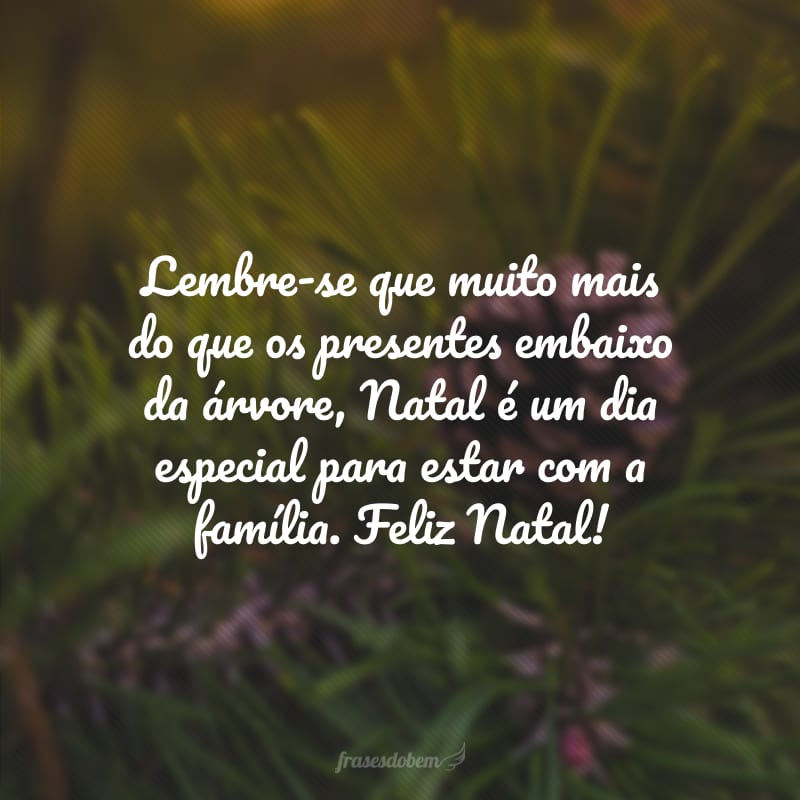 Lembre-se que muito mais do que os presentes embaixo da árvore, Natal é um dia especial para estar com a família. Feliz Natal! 