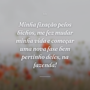 Minha fixação pelos bichos, me fez mudar minha vida e começar uma nova fase bem pertinho deles, na fazenda!