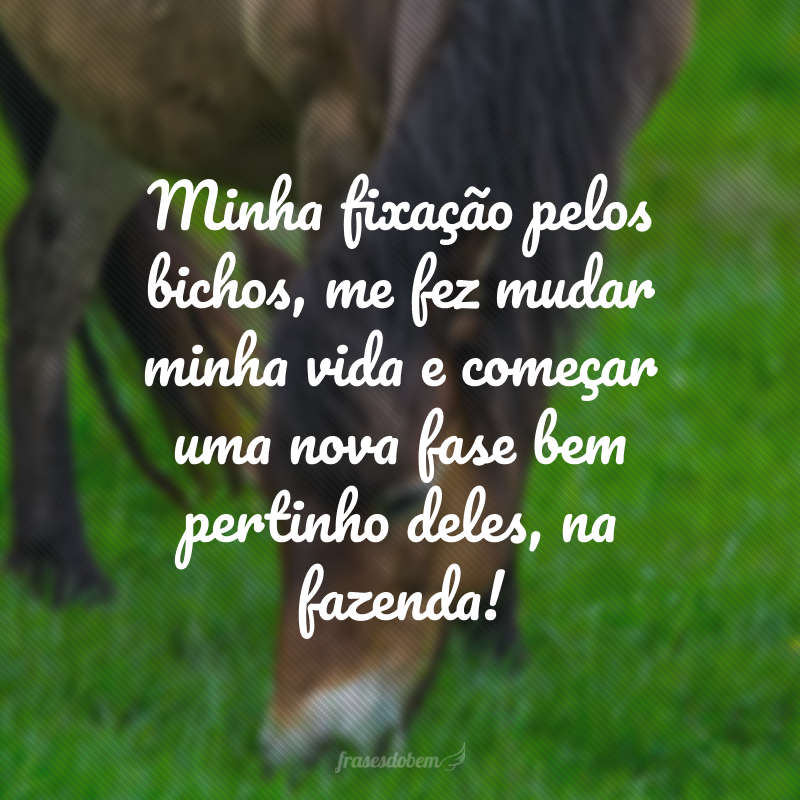 Minha fixação pelos bichos, me fez mudar minha vida e começar uma nova fase bem pertinho deles, na fazenda!