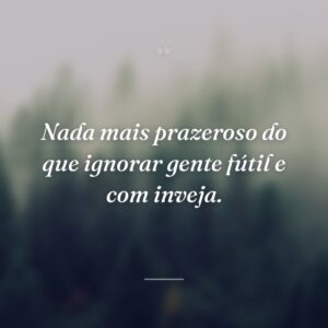 Nada mais prazeroso do que ignorar gente fútil e com inveja.