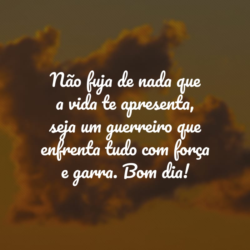 Não fuja de nada que a vida te apresenta, seja um guerreiro que enfrenta tudo com força e garra. Bom dia!