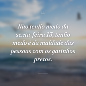 Não tenho medo da sexta-feira 13, tenho medo é da maldade das pessoas com os gatinhos pretos.