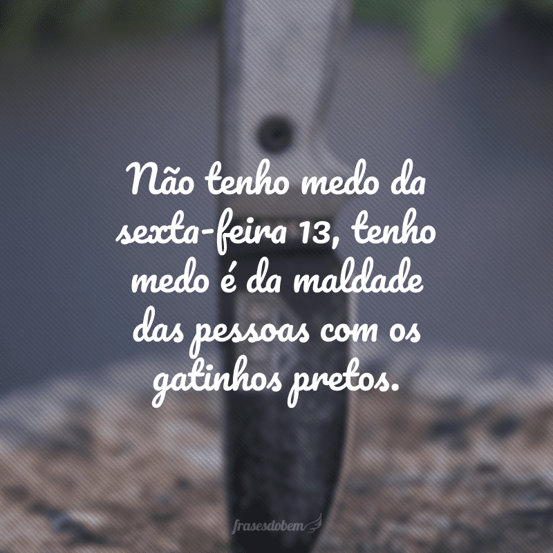 Não tenho medo da sexta-feira 13, tenho medo é da maldade das pessoas com os gatinhos pretos.