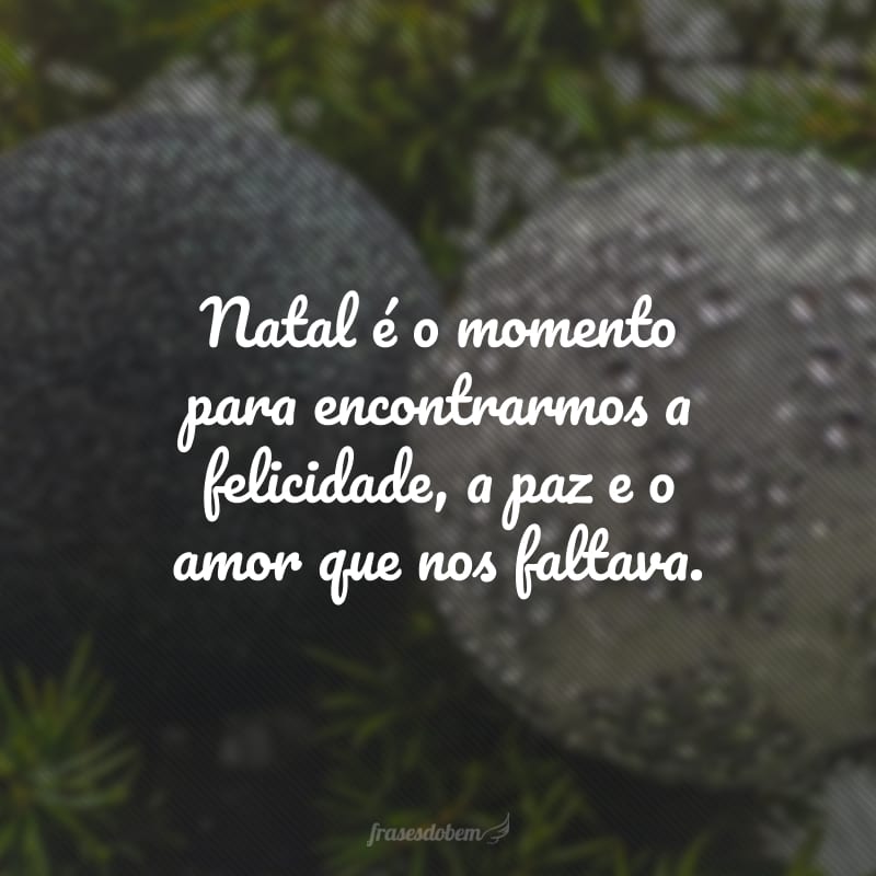 Natal é o momento para encontrarmos a felicidade, a paz e o amor que nos faltava.