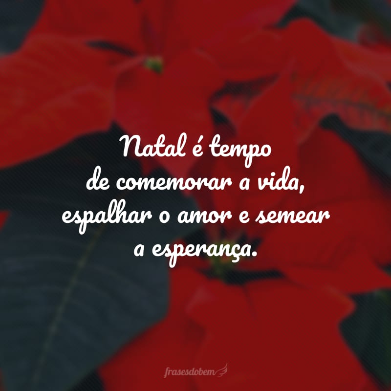 Natal é tempo de comemorar a vida, espalhar o amor e semear a esperança. 